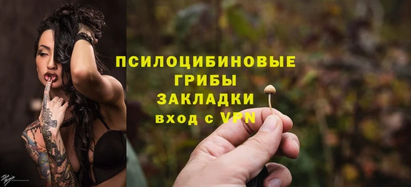 2c-b Богданович