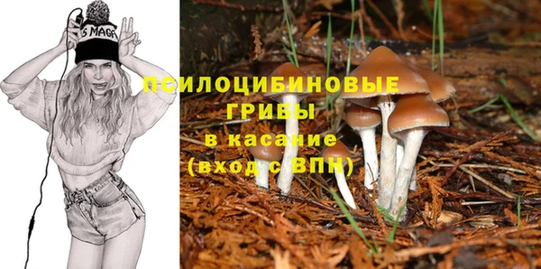 2c-b Богданович