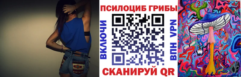 Псилоцибиновые грибы мицелий Верея